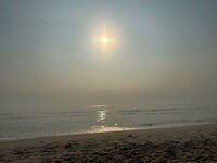 IMG_1236