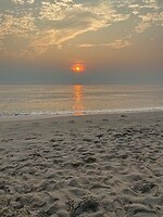 IMG_1231