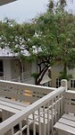 IMG_1240