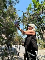 IMG_1294