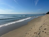 IMG_2335