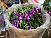 IMG_2302