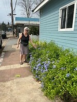 IMG_2349