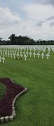 Oorlogsgraven