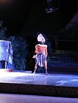 the Lion King
