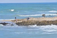 Kust langs San Francisco en Monterey