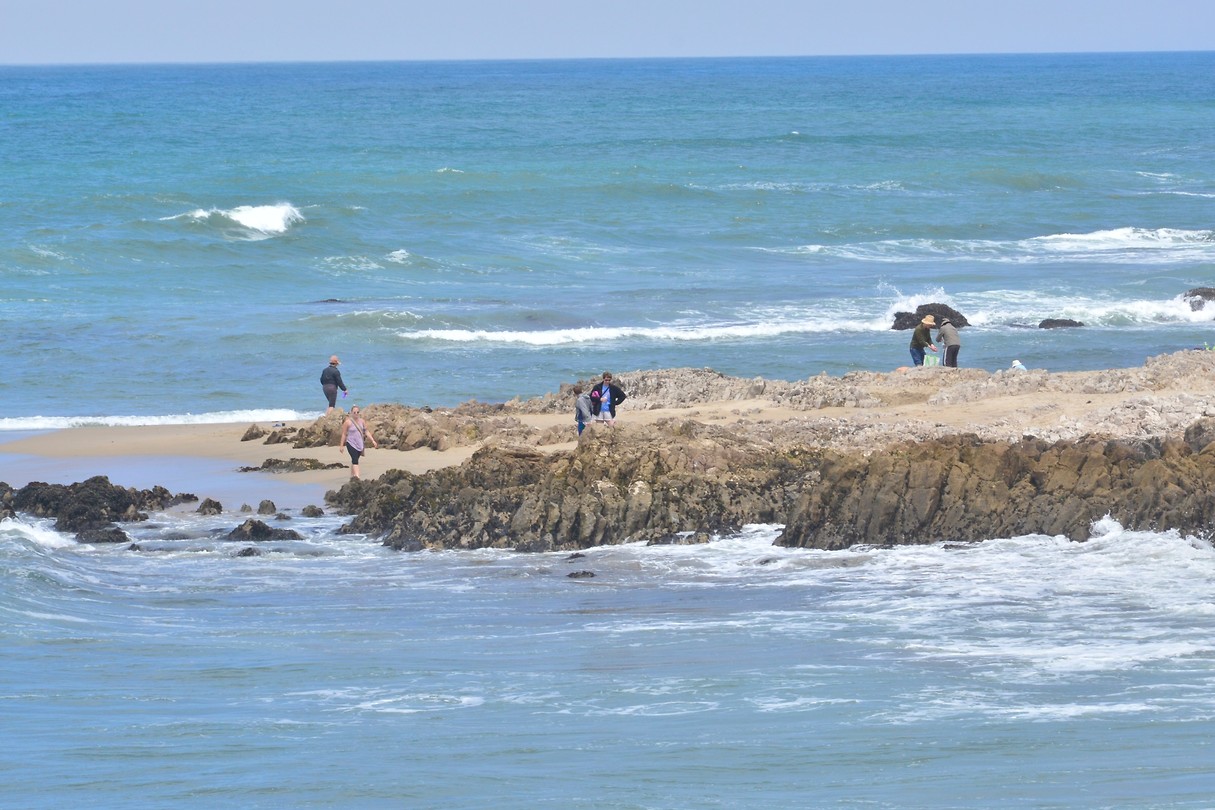 Kust langs San Francisco en Monterey