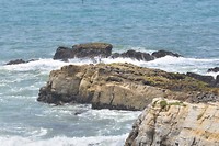 Kust langs San Francisco en Monterey