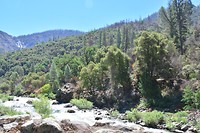 Yosemite National park
