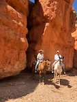 Red Canyon
