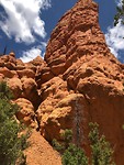Rotsformatie Red Canyon