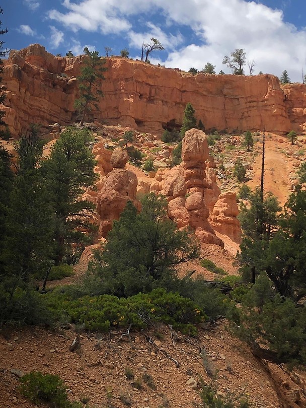 Red Canyon prachtige rotsformatie