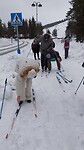 Bonkje sneeuw onder Ruud zijn ski