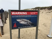 0F156B2F-1D3E-45C0-B172-39875B827E8A
