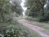 20140701_120023