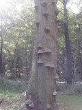20140702_103329