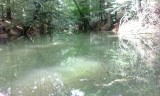 IMG_20140707_152854