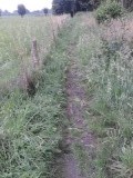 20140713_104813