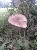 20140713_120743
