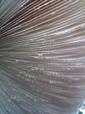 20140713_120805