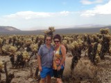 Tussen de cactusvelden