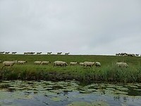 20260606_141135