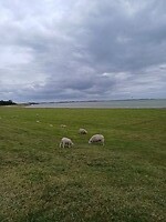 20260606_201626