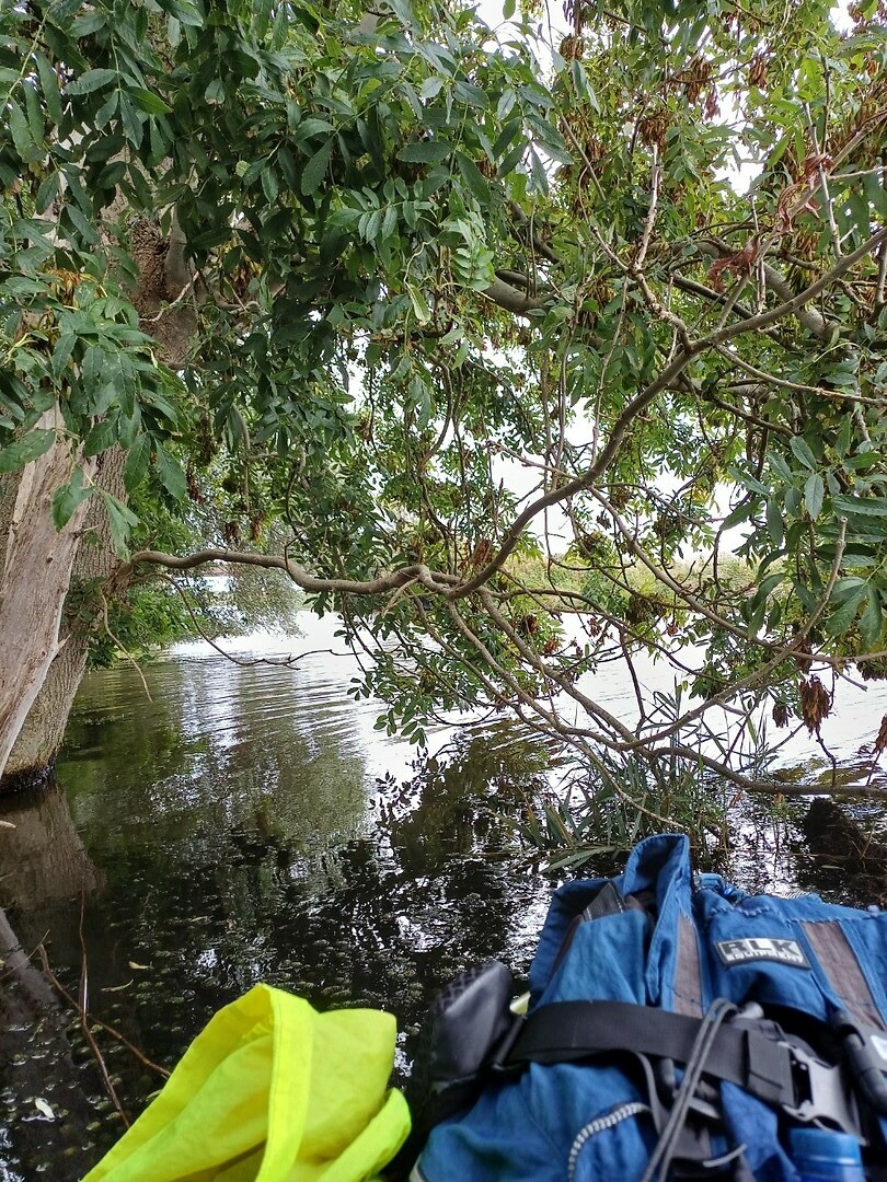 Pauze onder een boom