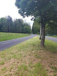 20190519_152116
