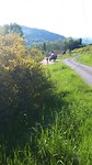 20190523_174632