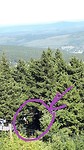 20190904_172239