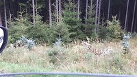 20190905_103843