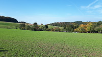 20191015_111245