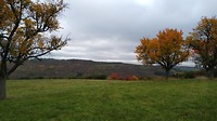IMG-20191016-WA0002
