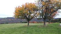 20191016_101913
