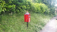 Vanwege jubileum Queen