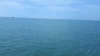 Van kust tot kust
