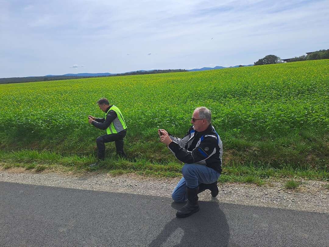 Amateur fotografen 