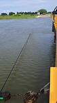 Veerpont