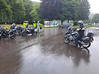 1000029186
