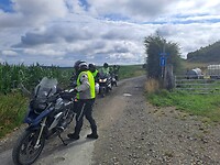 1000029239