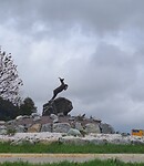 1000034976