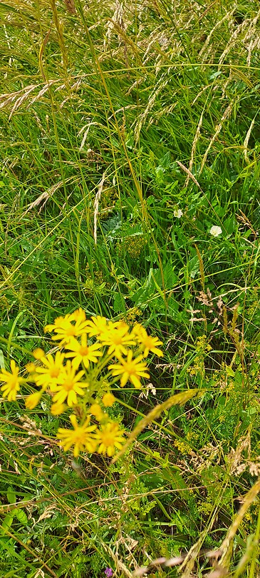20260609_134700