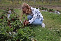 028_Fruit picking 1