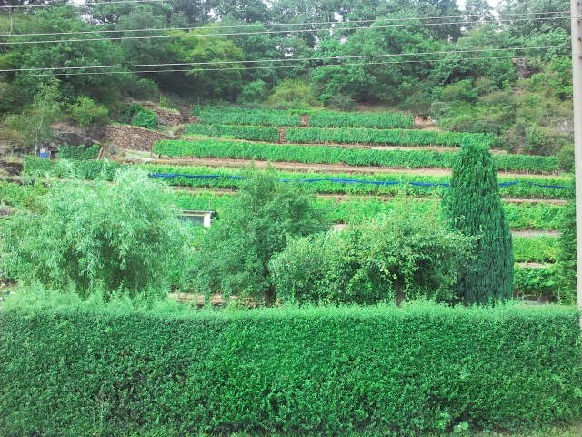 2012-08-07 15.59_.57_