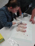 IMG-20180205-WA0022