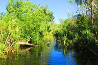 IMG_3735