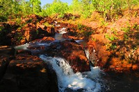IMG_3748