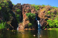 IMG_3752