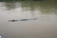 IMG_3761